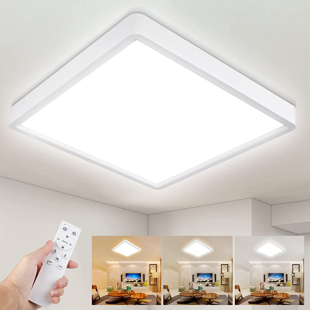 Ceiling Light